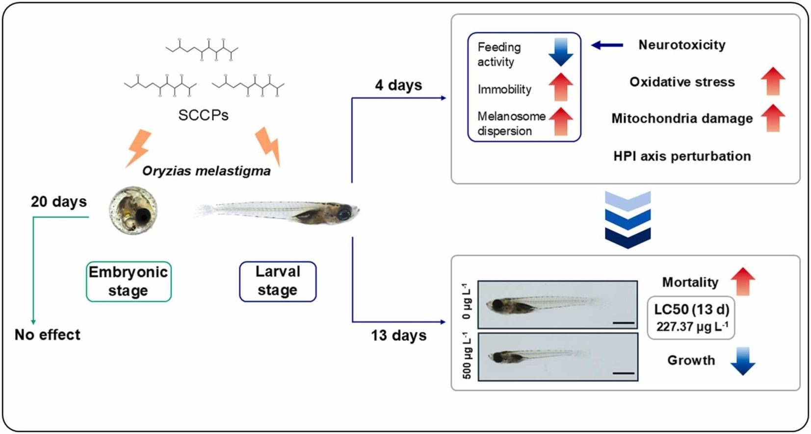 Incheon National University, Department of Marine Science — Researcher Seong‑Deok Do, first discover 대표이미지